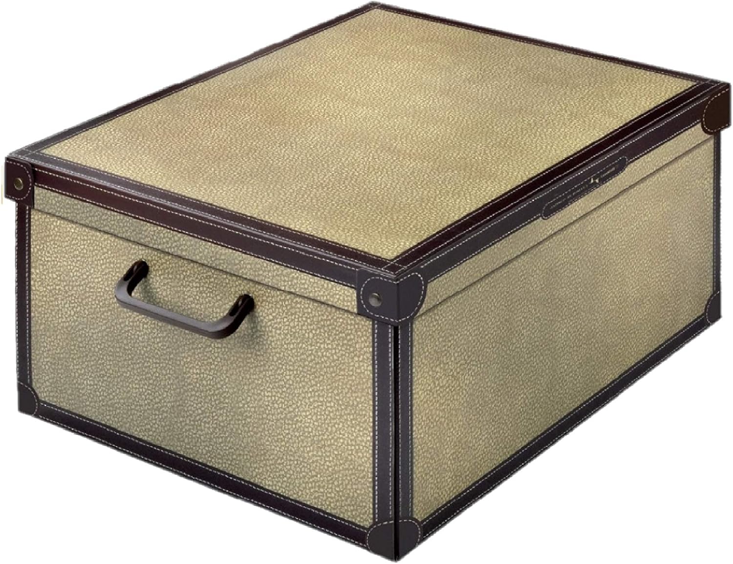 Optimisez Votre Espace avec la Boîte de Rangement MEDIUM TAPIRUS 2!