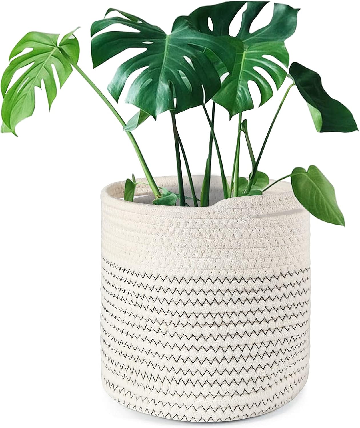Tenn Well : Élégance et Style pour Vos Plantes d'Intérieur en Noir et Blanc!