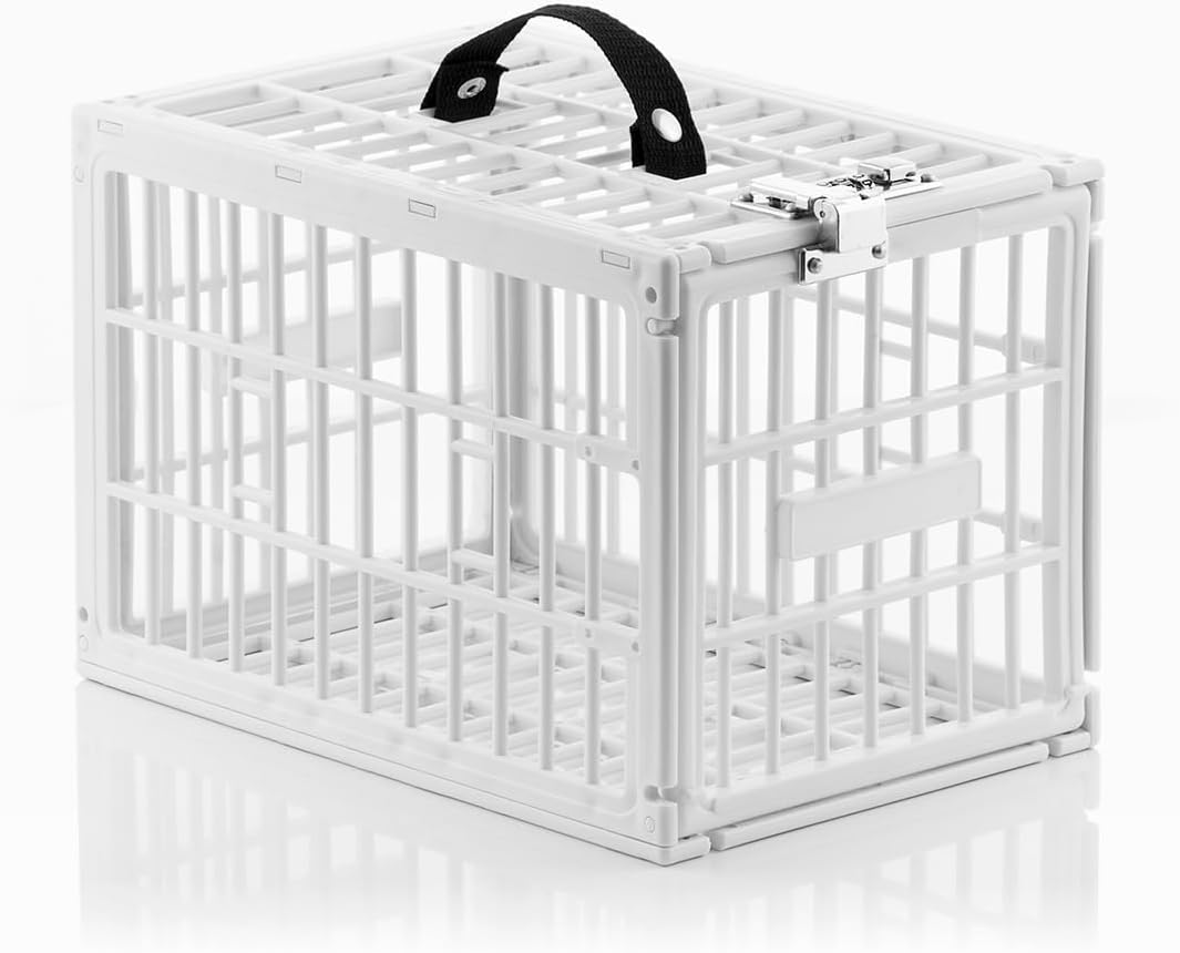 Protégez vos Aliments : Découvrez la Cage de Sécurité InnovaGoods pour Réfrigérateurs